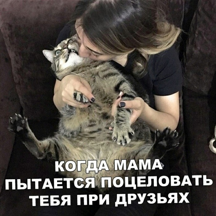 «Картинки разные нужны, картинки разные важны»