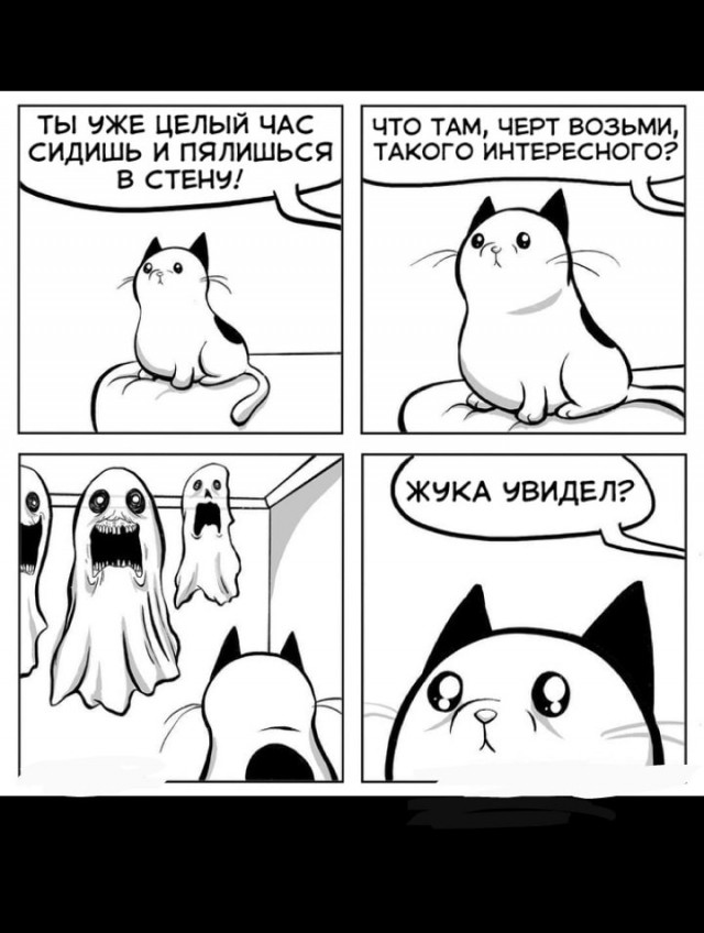 Подборка из этих интернетов
