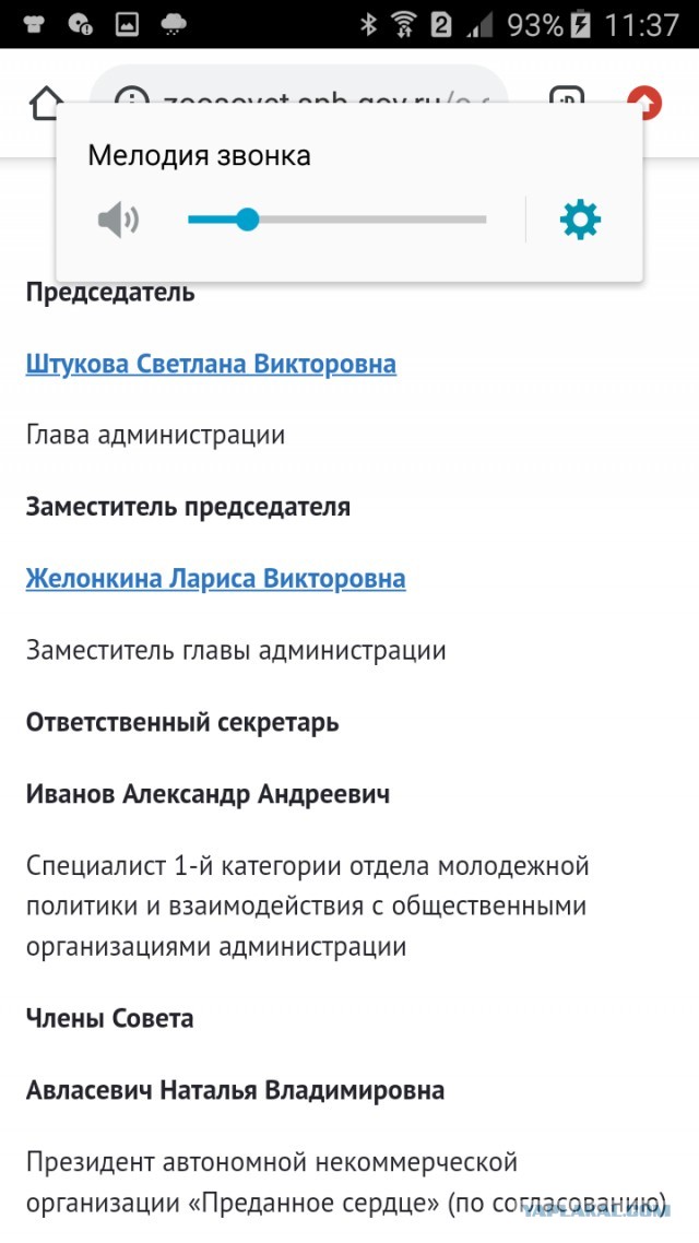 Помогите вернуть кота! Приют "Преданное сердце" украл кота и не отдает!-2