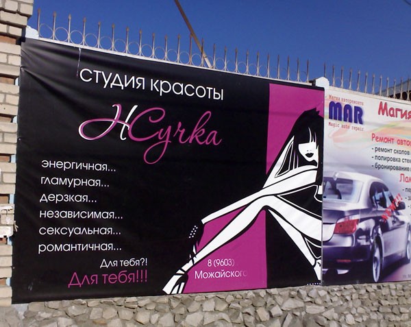 Эта жучка изрядная сучка!