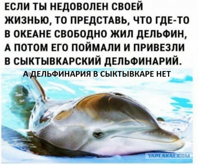 Немного картинок для настроения 06.01.20