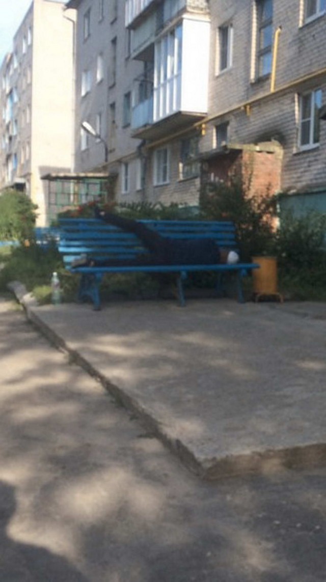 Факты и история в картинках