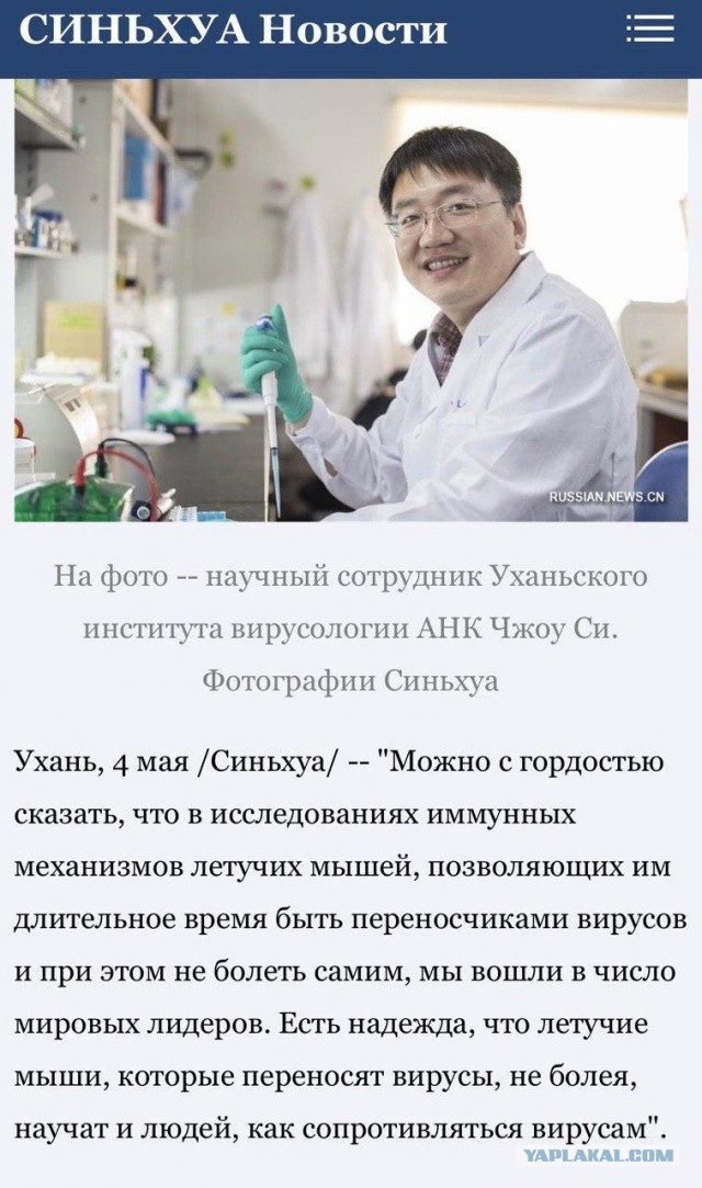 Про Китай и коронавирус