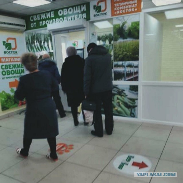 Из-за закрытия границы с Китаем на Дальнем Востоке — дефицит продуктов