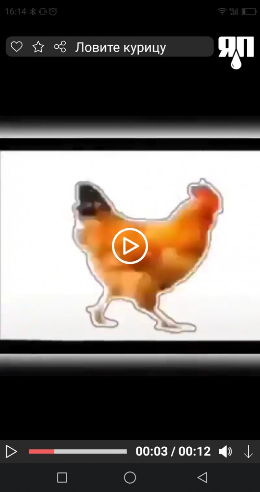 Кому нечем заняться: ловите курицу, нажимая на паузу