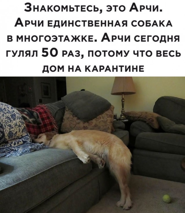 Чуток картинок 1 апреля