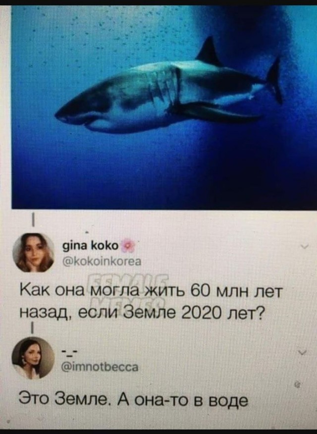 Немного картинок для настроения 22.04.20