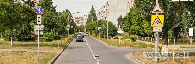 Некоторые реально думают, что автомобилисты должны их пропускать