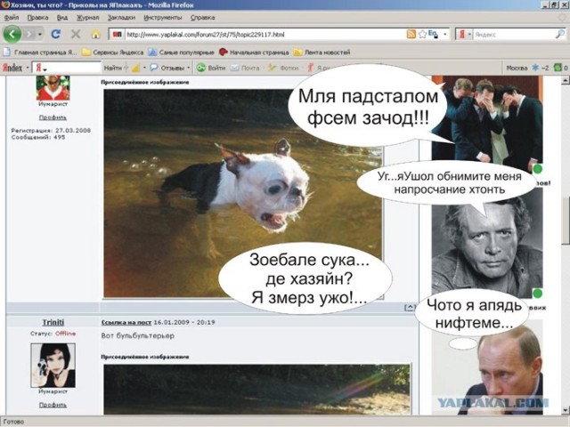 Хозяин, ты что?