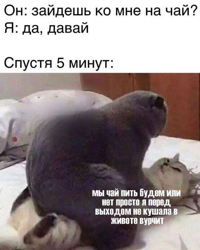 Бредзона 28.09.20