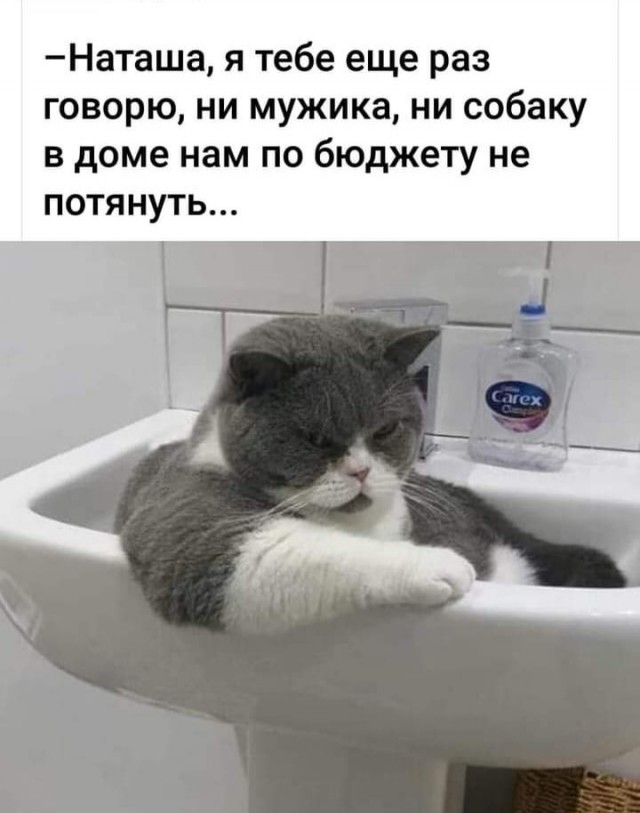 Бредзона 03.11.2020