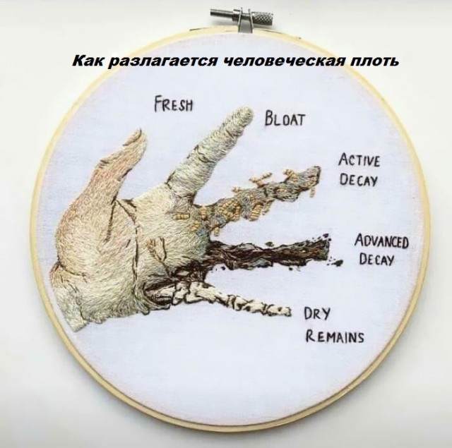 Различные  руководства и инфографики.
