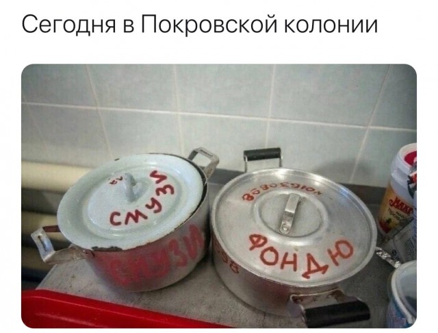 «Альянс врачей» пытается прорваться в колонию к Навальному