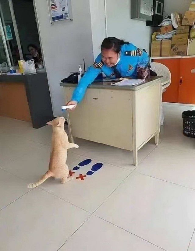 Калейдоскоп картинок