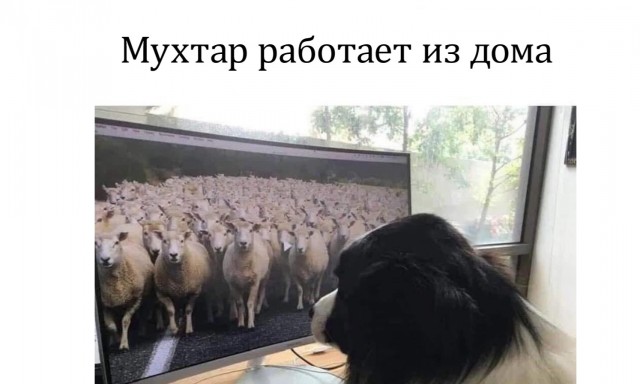 Картинки про работу