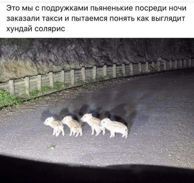 Картинки и мемы для настроения 09.06.2021
