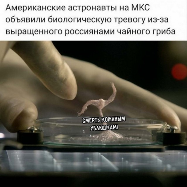 Картинки и мемы для настроения 28.10.2021