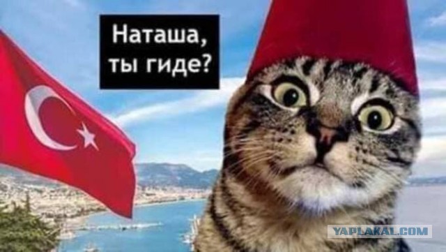 Жена осудила мужа за алименты для сына от египтянина