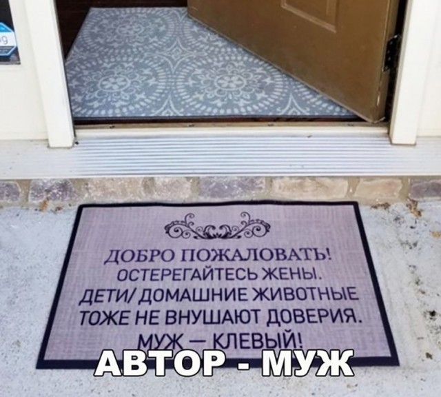 Чуток картинок 04.02.22