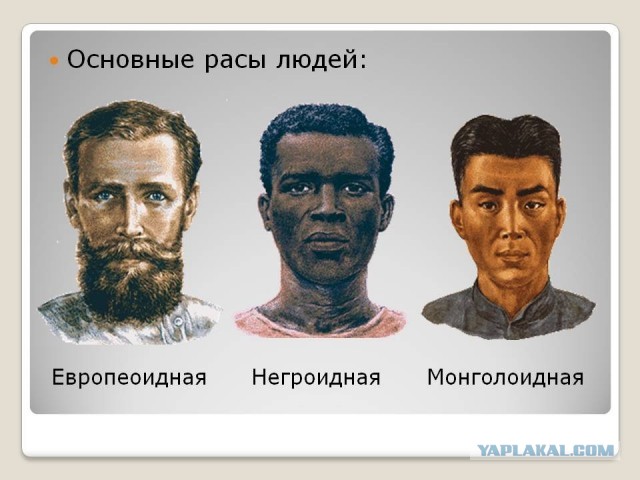 После третьей мировой