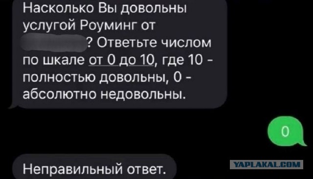 Отзывы, объявления, переписки