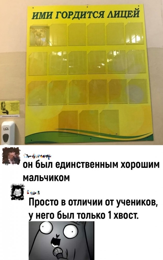 Так себе картинки 12.05.22