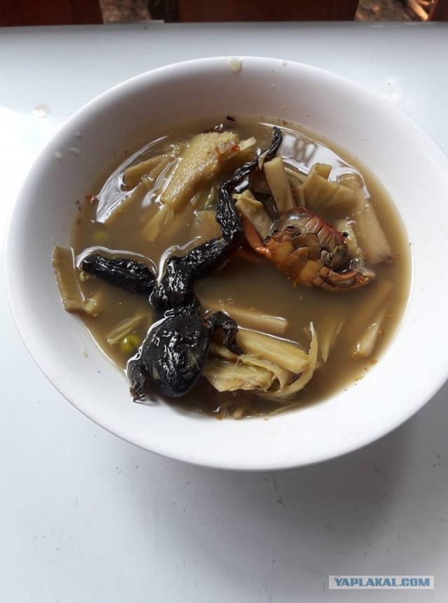 Десять самых отвратительных продуктов, которые едят люди ‒ гастрономический мазохизм