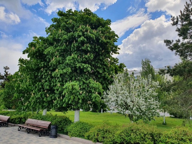 Но все-таки она наша... наша Куйбышев