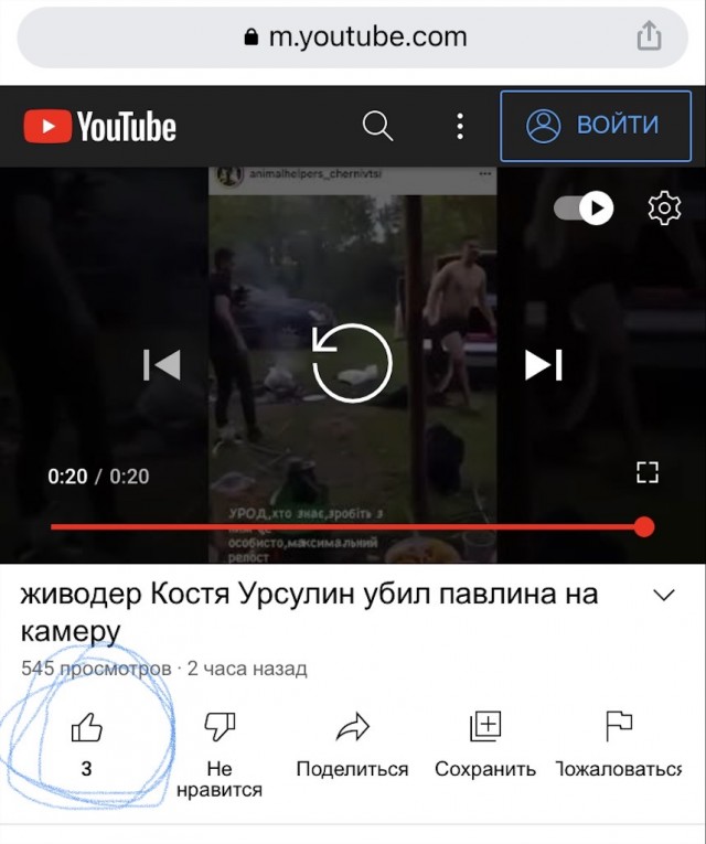 В Черновцах угашеное животное убило павлина ради забавы