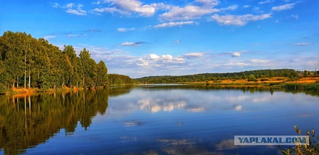 Просто любительские фото