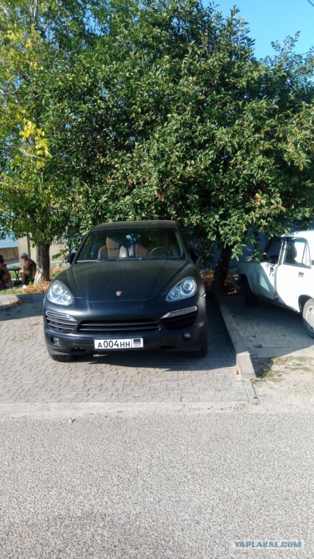 Поведение бедняжек на отдыхе