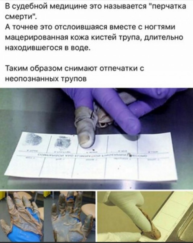 Картинки и мемы для настроения - 21