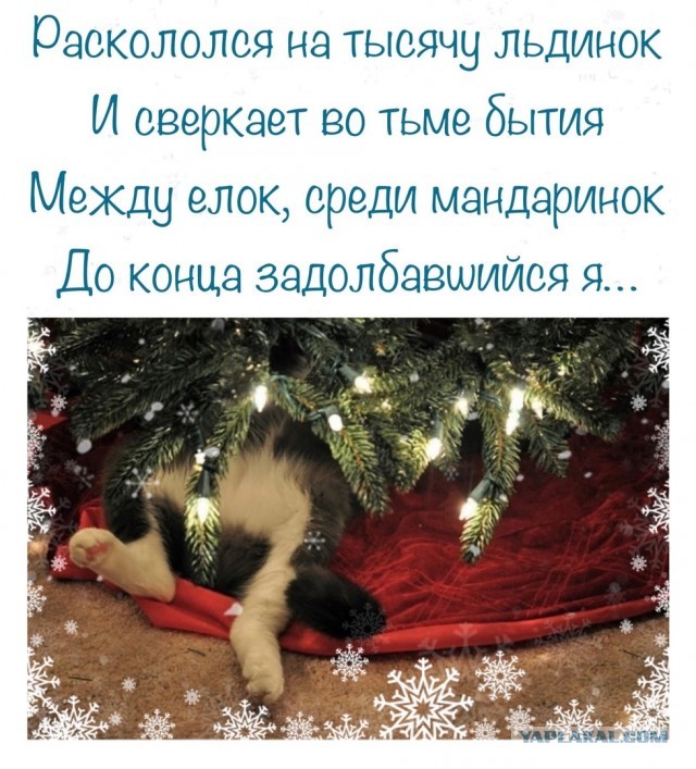 Почему женщины одним "дают" сразу, а других матросят месяцами