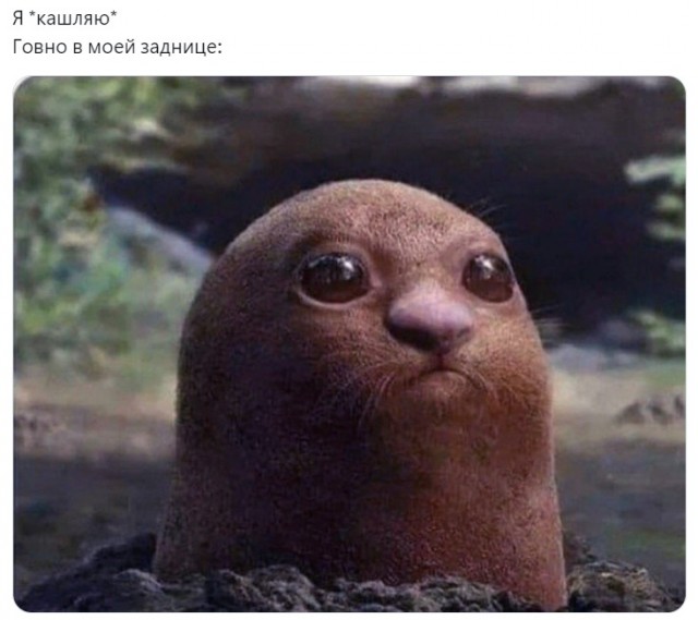 Народная меДИЧина 4005