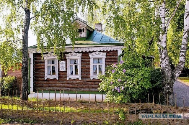 Прикольные и просто красивые картинки 11.07.2023