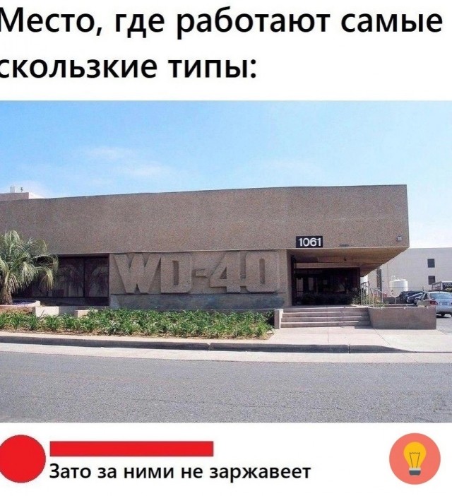 Весёлый полтишок 16.07.23