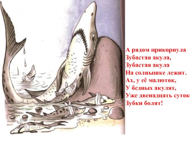 Во Флориде странное нашествие странных акул