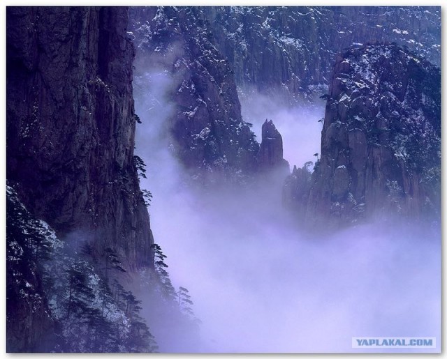 Фотограф Leping Zha