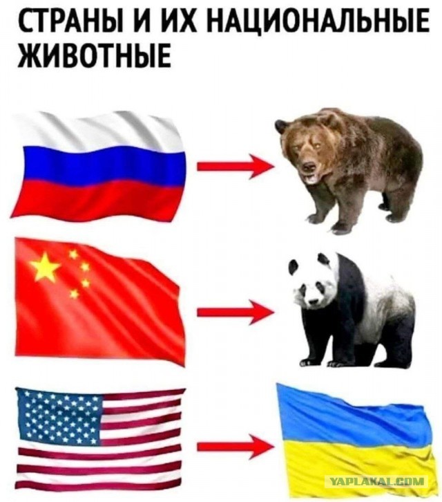 Демократия в опасности!