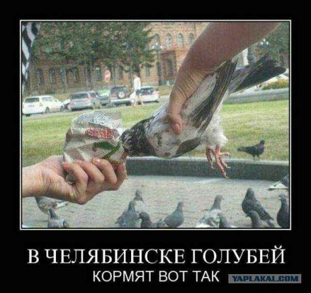 Лайфхак для вечно голодных студентов
