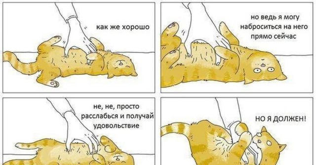 Ты же знаешь - тебе не миновать "кусь". Так что не сопротивляйся