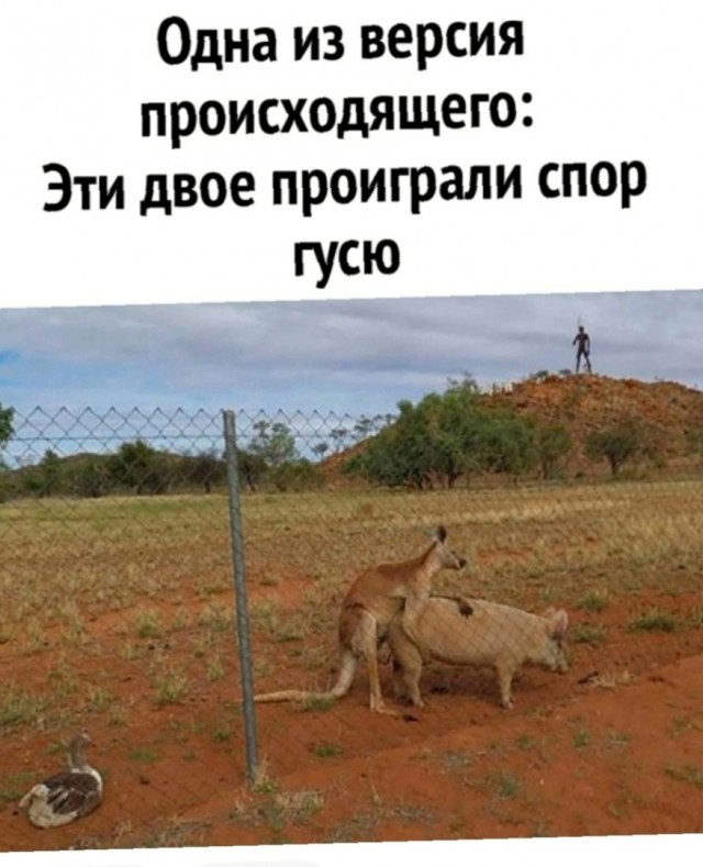 Так себе картинки 16.10.23