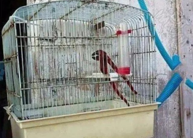 На работе без юмора никуда.