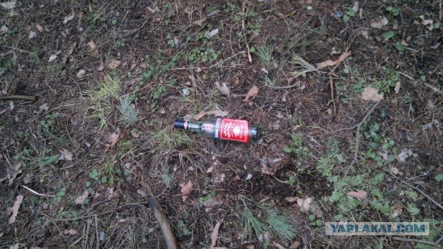 Сходил в лес