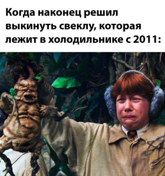 Весёлый полтишок 19.11.23