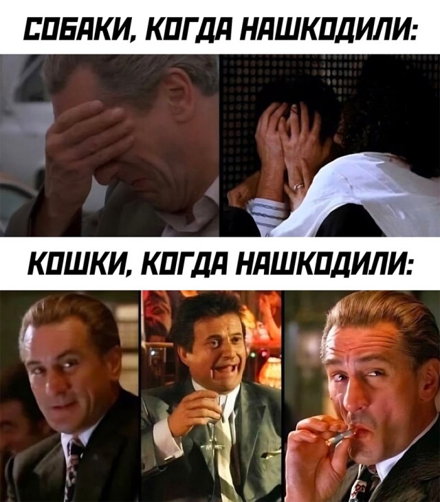 Немного картинок и прочей хреноты Vol. 27