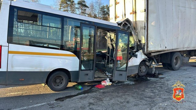 В подмосковном Щелково десять человек пострадали при столкновении маршрутки с грузовиком