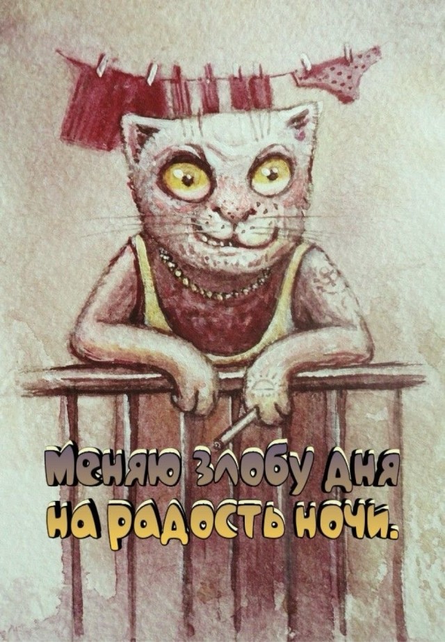 Прикольные и просто красивые картинки 17.05.2024