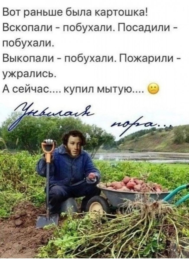 Завалялось тут случайно немного забавных картинок