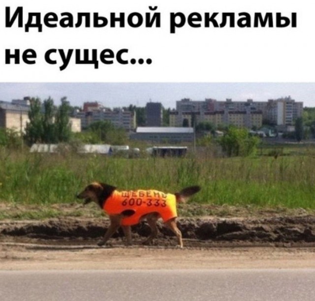 Так себе картинки 16.10.24